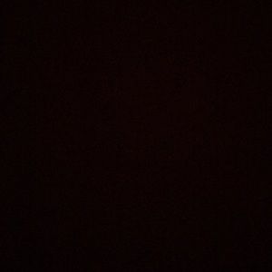 Meet your Posher, Arianna